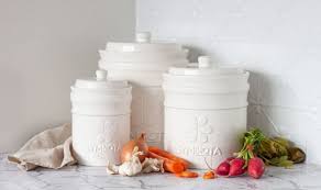 Food Fermentation Products