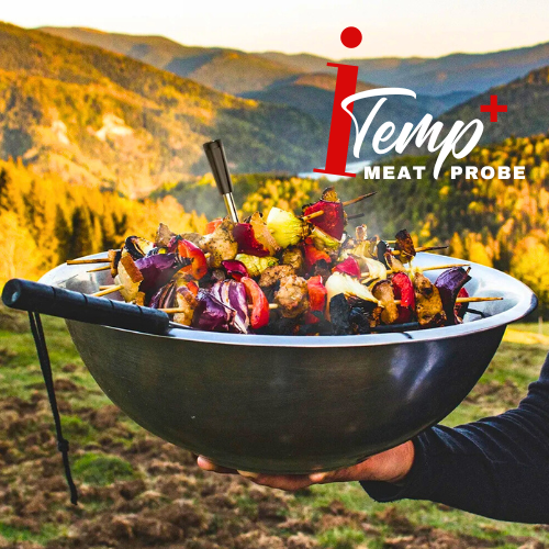 I-Temp+ Wireless Meat Thermometer