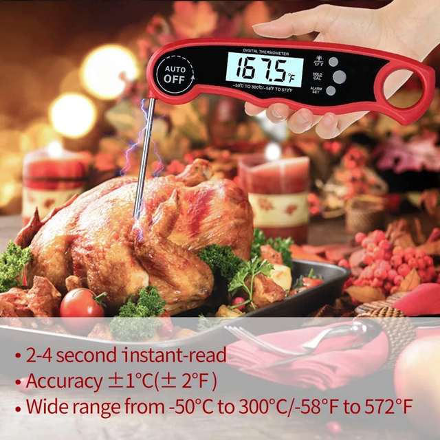 Dual Probe Thermometer