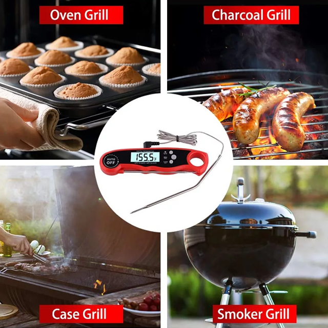 Dual Probe Thermometer