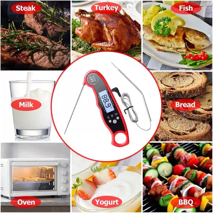 Dual Probe Thermometer