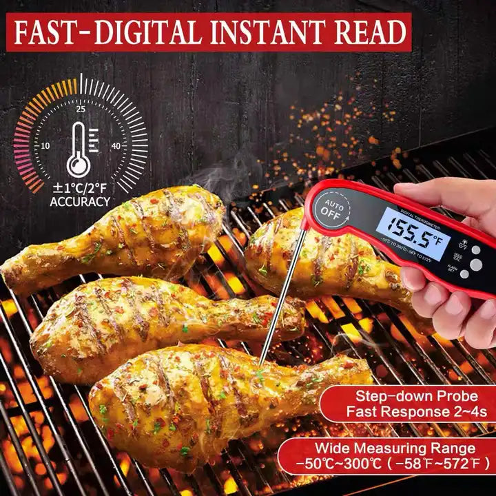 Dual Probe Thermometer