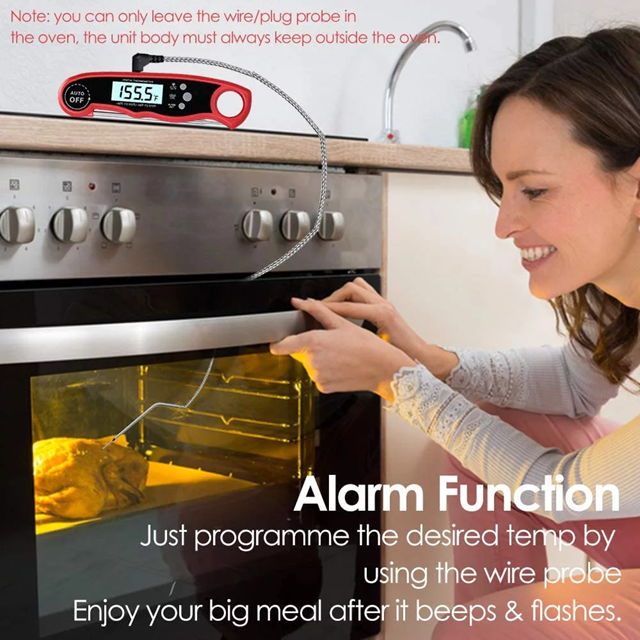 Dual Probe Thermometer