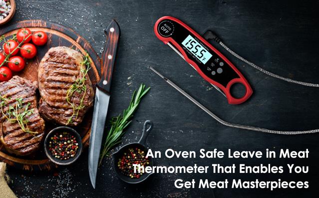 Dual Probe Thermometer