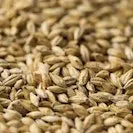 Gladfield Light Larger Malt 1kg