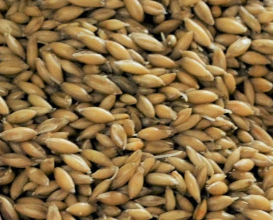 Gladfield Big O Malted Oats