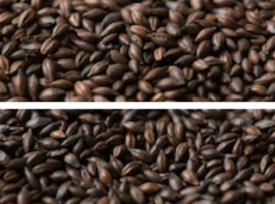 Gladfield Dark Chocolate Malt