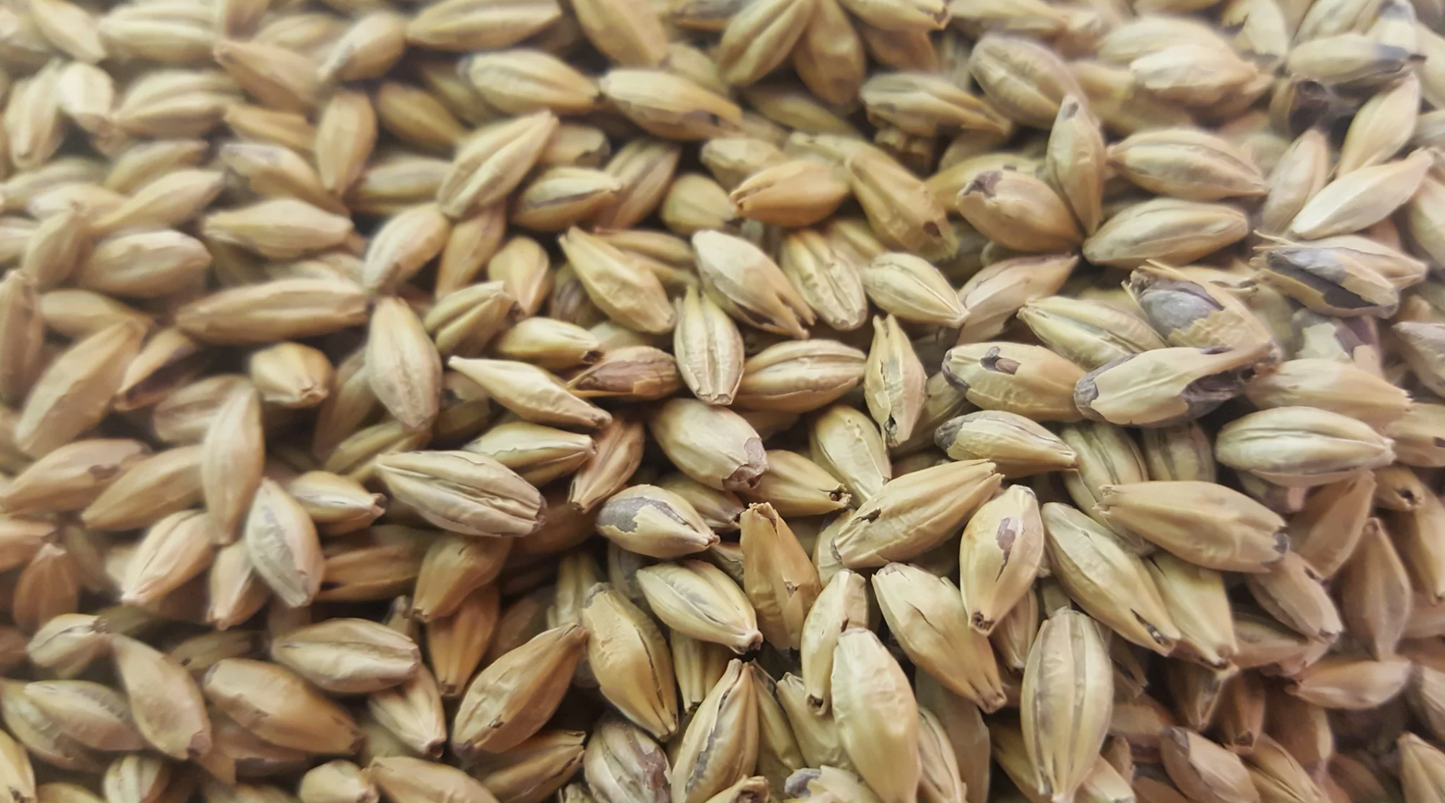 Gladfield Gladiator Malt