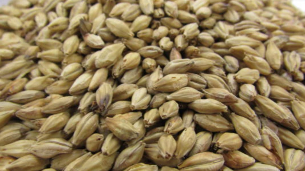 Gladfield Munich Malt