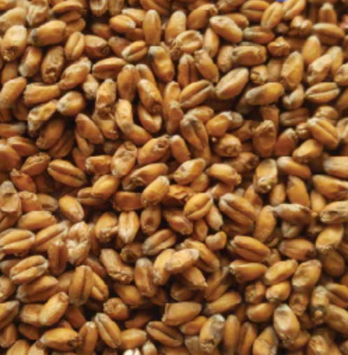 Gladfield Wheat Malt