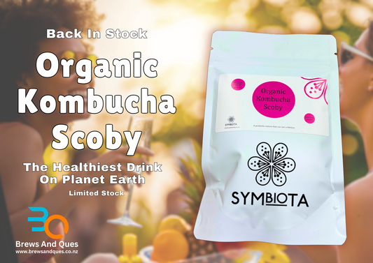 Symbiota Organic Kombucha SCOBY Culture