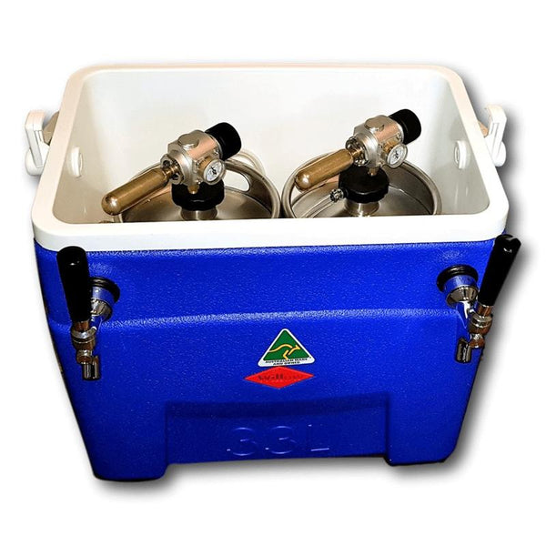 2x Stainless Taps - Deluxe Kit - Add own Kegs & SS