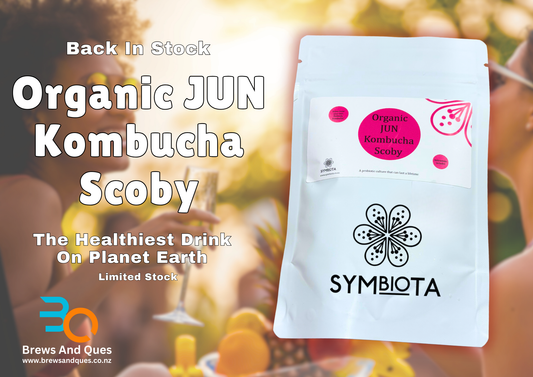 Symbiota Organic JUN Kombucha Scoby package with people in the background