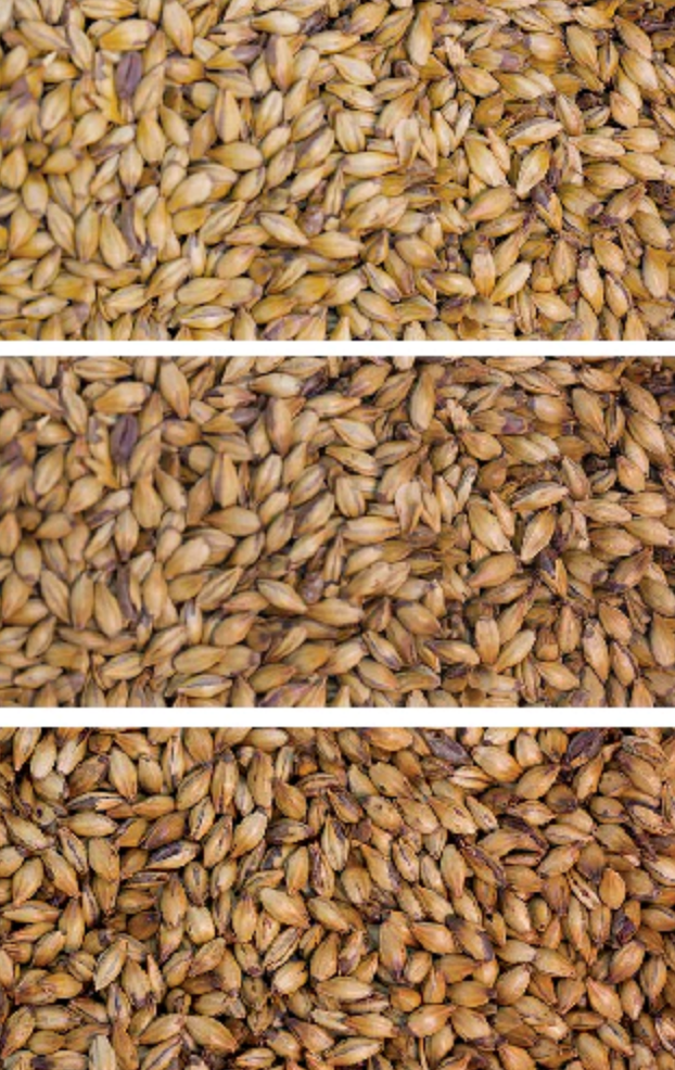 Gladfield Medium Crystal Malt